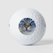 Gray Cat Golfball (Vorderseite)