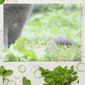 Gray Cat Handtuch (Gefaltet)