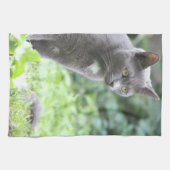 Gray Cat Handtuch (Horizontal)