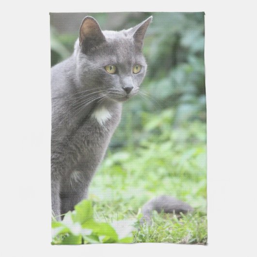 Gray Cat Handtuch (Vertikal)