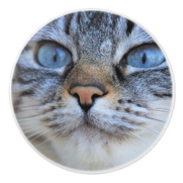 Gray Cat Keramikknauf