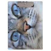 Gray Cat Klemmbrett (Vorderseite)
