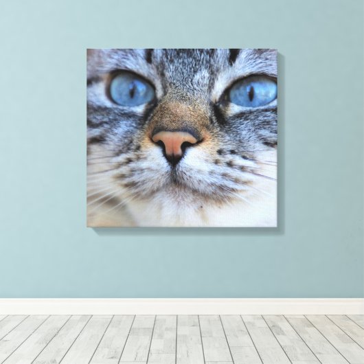 Gray Cat Leinwanddruck (Insitu (Holzboden))