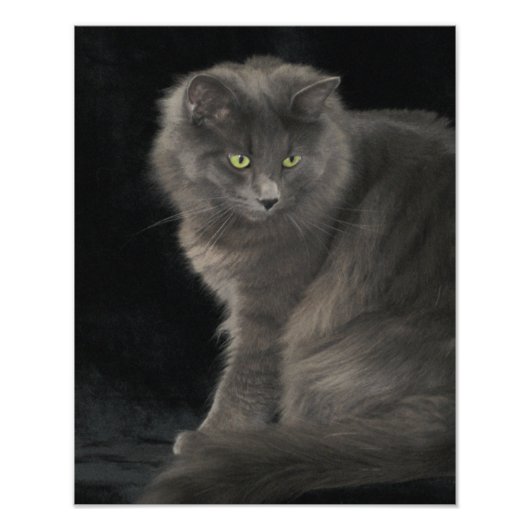 Gray Cat Long Hair Russian Blue Kitten Niedlich Fotodruck (Vorne)