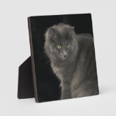 Gray Cat Long Hair Russian Blue Kitten Niedlich Fotoplatte (Vorderseite)