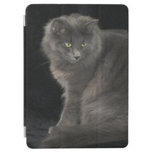 Gray Cat Long Hair Russian Blue Kitten Niedlich  iPad Air Hülle