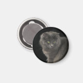Gray Cat Long Hair Russian Blue Kitten Niedlich Magnet (Vorderseite/Rückseite)