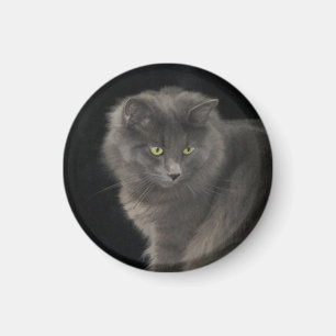 Gray Cat Long Hair Russian Blue Kitten Niedlich Magnet
