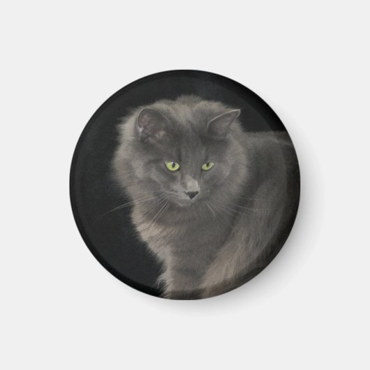 Gray Cat Long Hair Russian Blue Kitten Niedlich Magnet (Vorne)