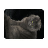 Gray Cat Long Hair Russian Blue Kitten Niedlich Magnet (Horizontal)