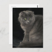 Gray Cat Long Hair Russian Blue Kitten Niedlich Postkarte (Vorne/Hinten)