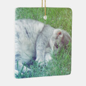 Gray Cat Lover Ihr Foto Weihnachtsschmuck (Rechts)