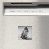 Gray Cat Magnet (In Situ (Geschirrspüler))