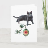 Gray Cat mit Ornament Card Karte (Vorderseite)