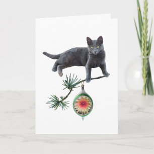 Gray Cat mit Ornament Card Karte