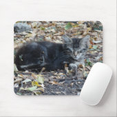 Gray Cat Mousepad (Mit Mouse)