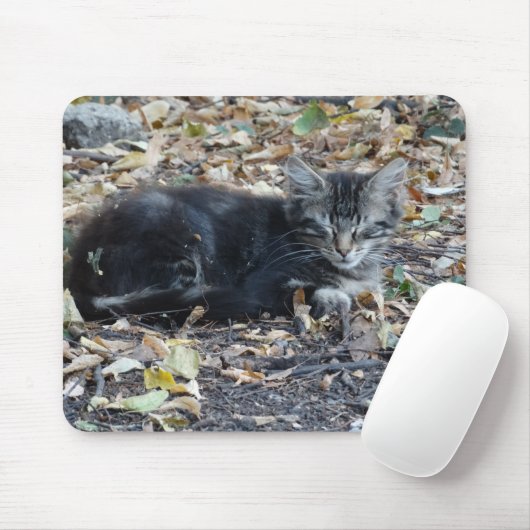 Gray Cat Mousepad (Mit Mouse)