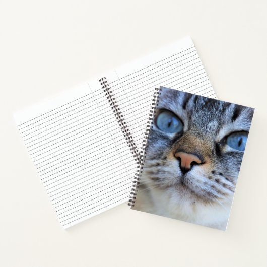 Gray Cat Notizblock (Innenseite)