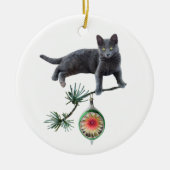 Gray Cat Ornament (Vorne)
