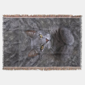 Gray Cat Portrait Decke