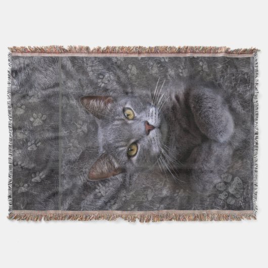 Gray Cat Portrait Decke (Vorderseite)
