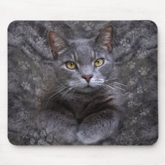 Gray Cat Portrait Mousepad