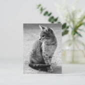 Gray Cat Postcard Postkarte (Stehend Vorderseite)