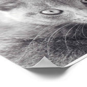 Gray Cat Poster (Ecke)