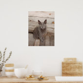 Gray Cat Poster (Küche)