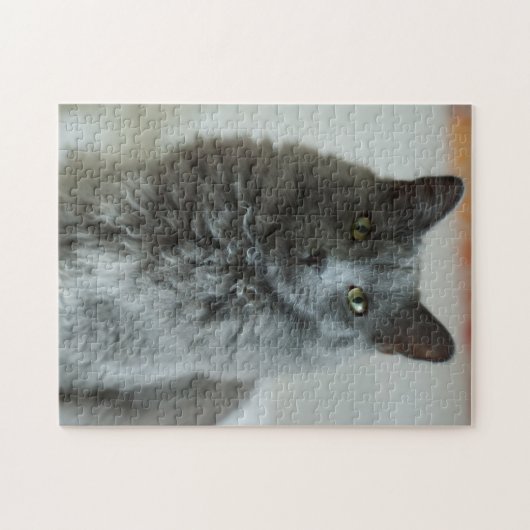 Gray Cat Puzzle (Horizontal)