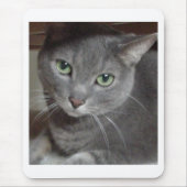 Gray Cat Russian Blue Mousepad (Vorne)