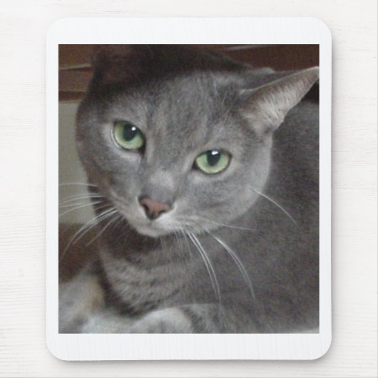 Gray Cat Russian Blue Mousepad (Vorne)