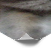 Gray Cat Russian Blue Poster (Ecke)