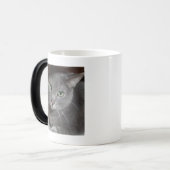 Gray Cat Russian Blue Verwandlungstasse (Vorderseite Links)