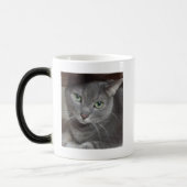 Gray Cat Russian Blue Verwandlungstasse (Links)