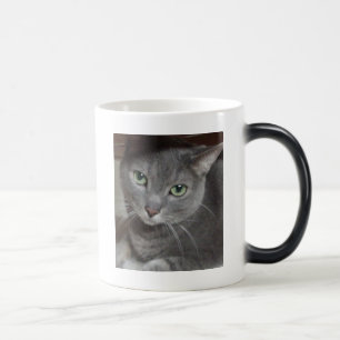 Gray Cat Russian Blue Verwandlungstasse