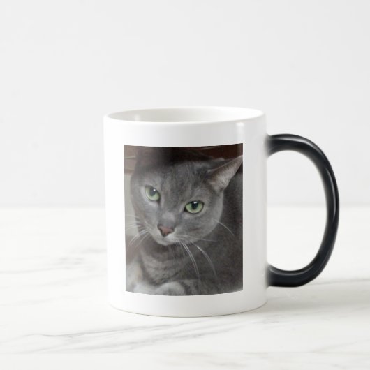 Gray Cat Russian Blue Verwandlungstasse (Rechts)