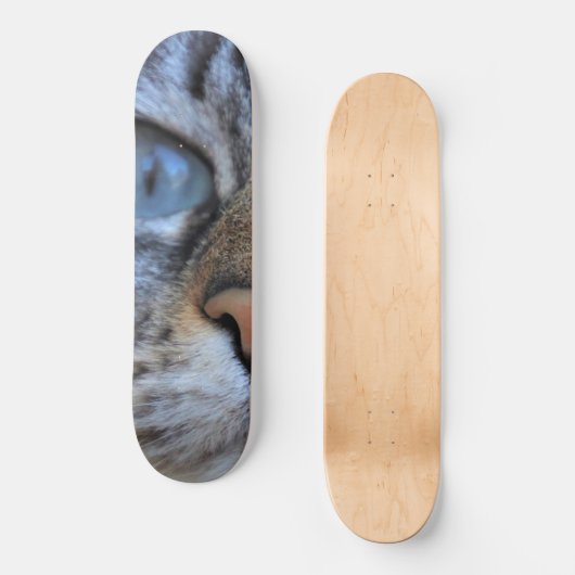 Gray Cat Skateboard (Vorderseite)