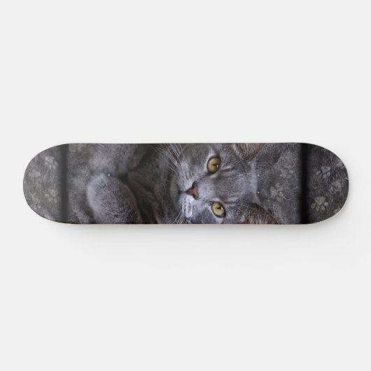Gray Cat Skateboard (Horizontal)