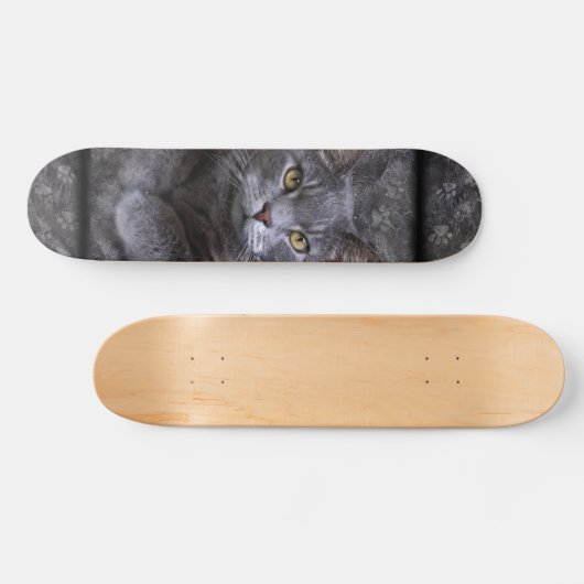 Gray Cat Skateboard (Horizontal)