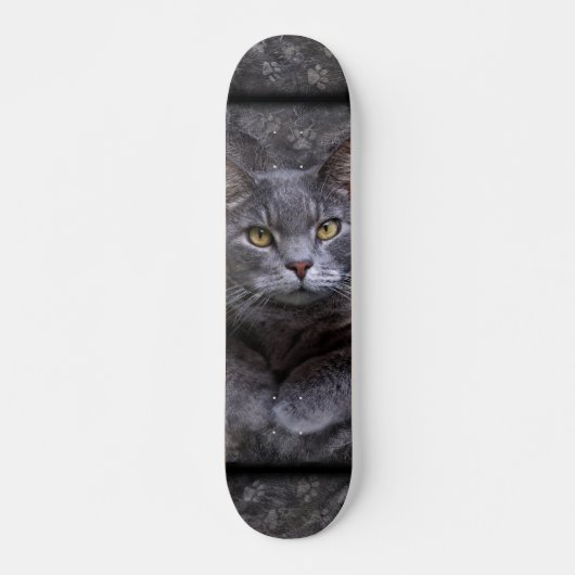 Gray Cat Skateboard (Vorne)