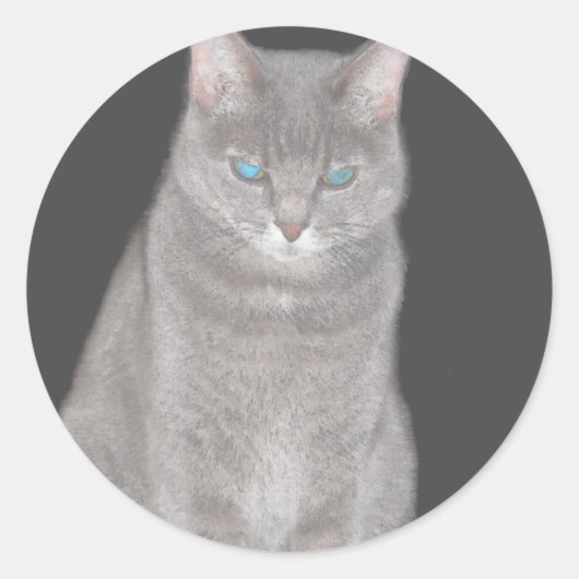 Gray Cat Sticker (Vorderseite)