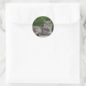 Gray Cat Stickers (Tasche)