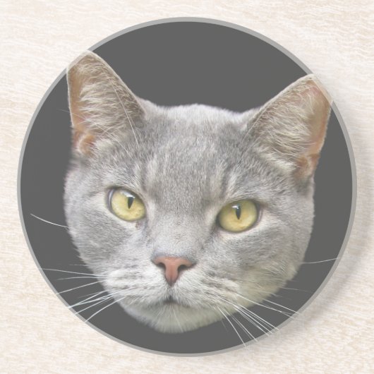 Gray Cat Untersetzer (Vorne)