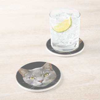 Gray Cat Untersetzer