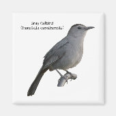 Gray Catbird Magnet (Vorne)