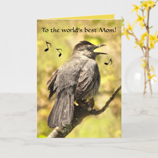 Gray Catbird Mütter Day Card singen Karte (Gelbe Blume)