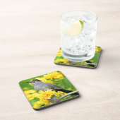 Gray Catbird on wooden fence Getränkeuntersetzer (Rechte Seite)