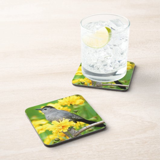 Gray Catbird on wooden fence Getränkeuntersetzer (Rechte Seite)