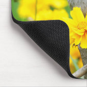 Gray Catbird on wooden fence Mousepad (Ecke)